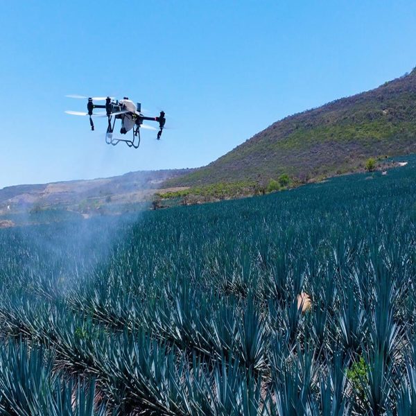 drone-agriculture-fumigation-panama-field2